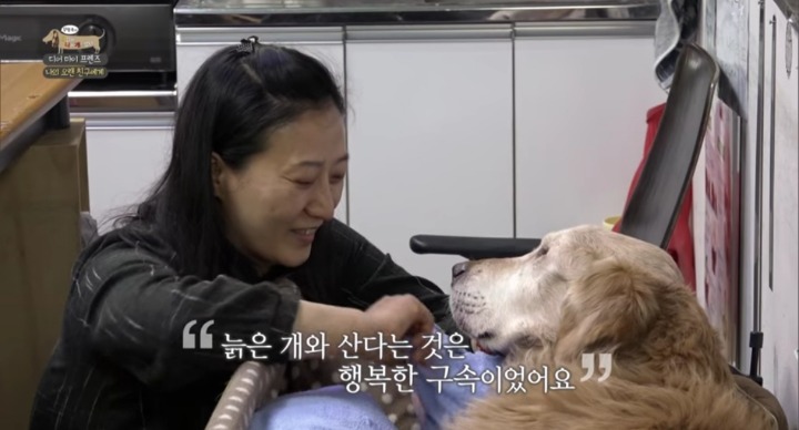 [세나개] 여러분에게 노견은 어떤 의미인가요? | 인스티즈