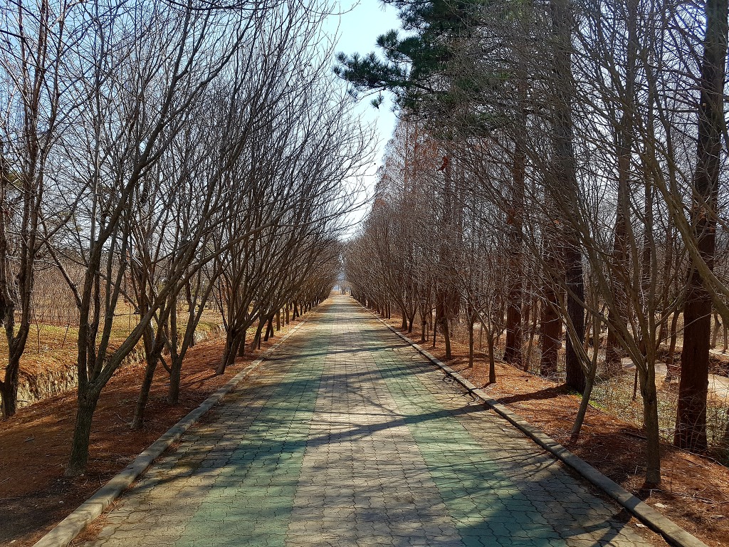 경주로 이미지