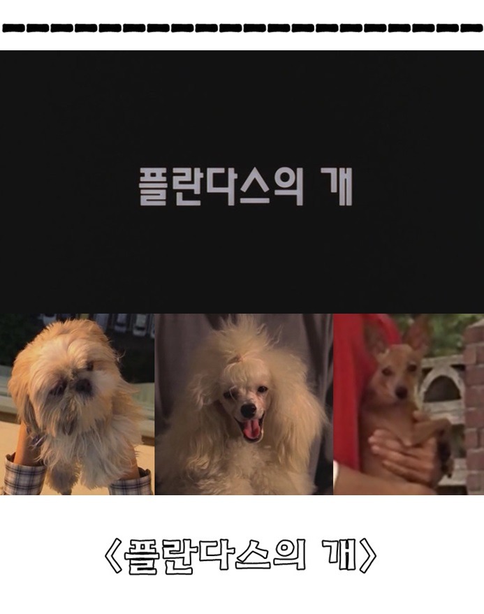 봉준호 영화 속 주체적인 여성들의 운동과 역사 | 인스티즈