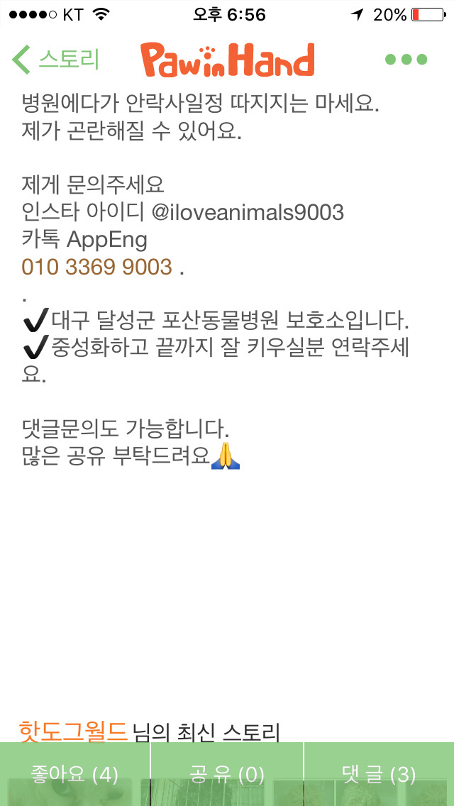 안락사임박(모레)푸들남아 평생가족찾습니다(대구) | 인스티즈