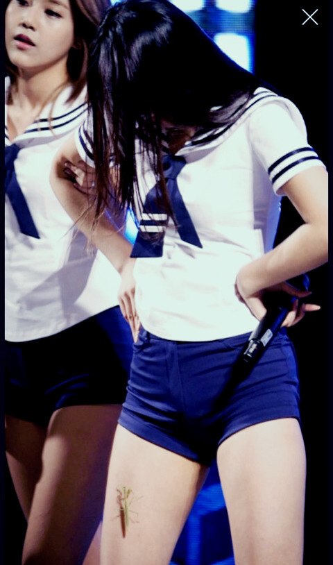 나는 아이돌 시켜줘도 못해....(사람들이 의외로 모르는 아이돌 고충) | 인스티즈