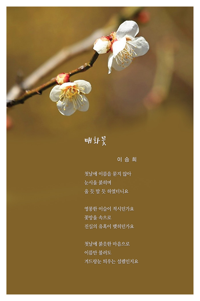 시화전 이미지