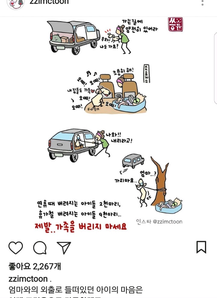 버려지는 강아지랑 고양이입장 | 인스티즈