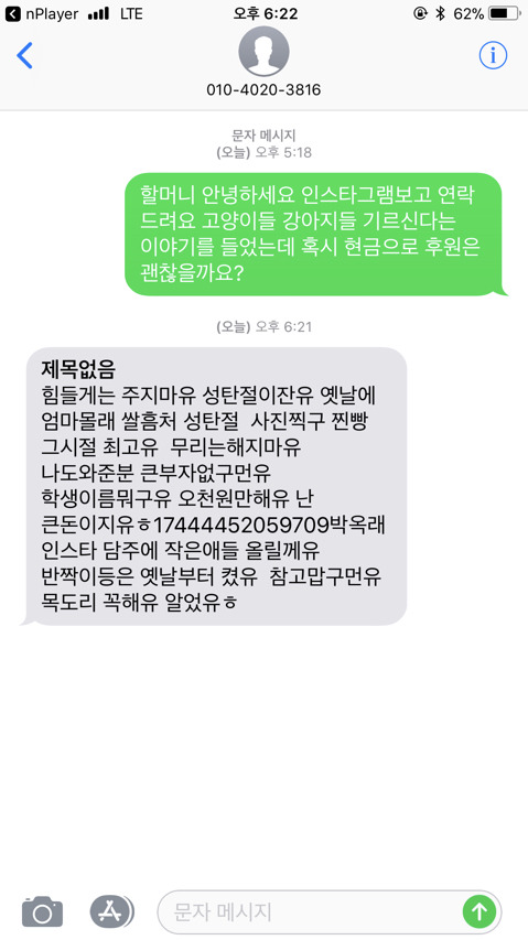 강아지 고양이 버려진 아이들 주워 키우시는 할머니 후원 받으신대! | 인스티즈