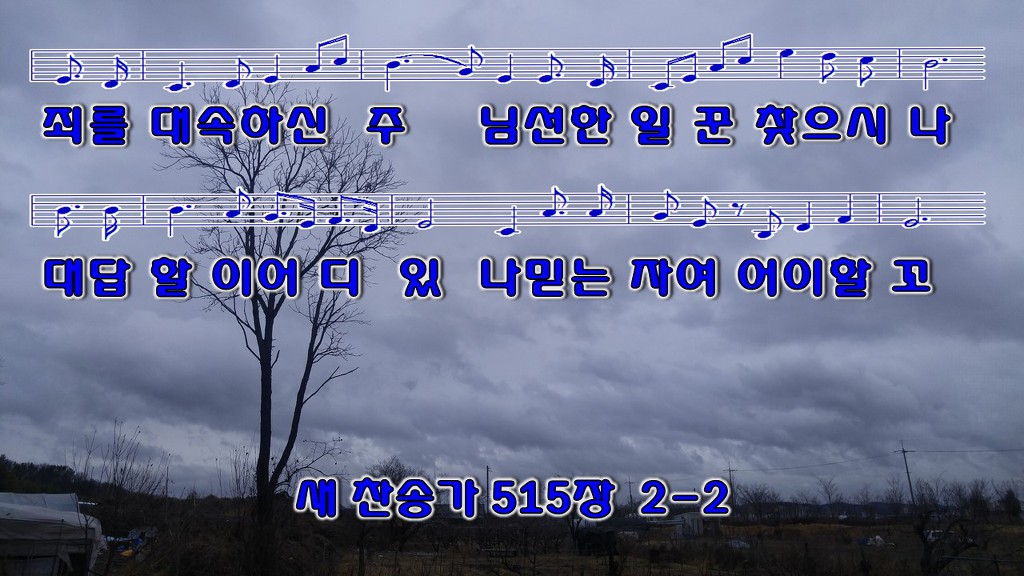 하늘보라 이미지