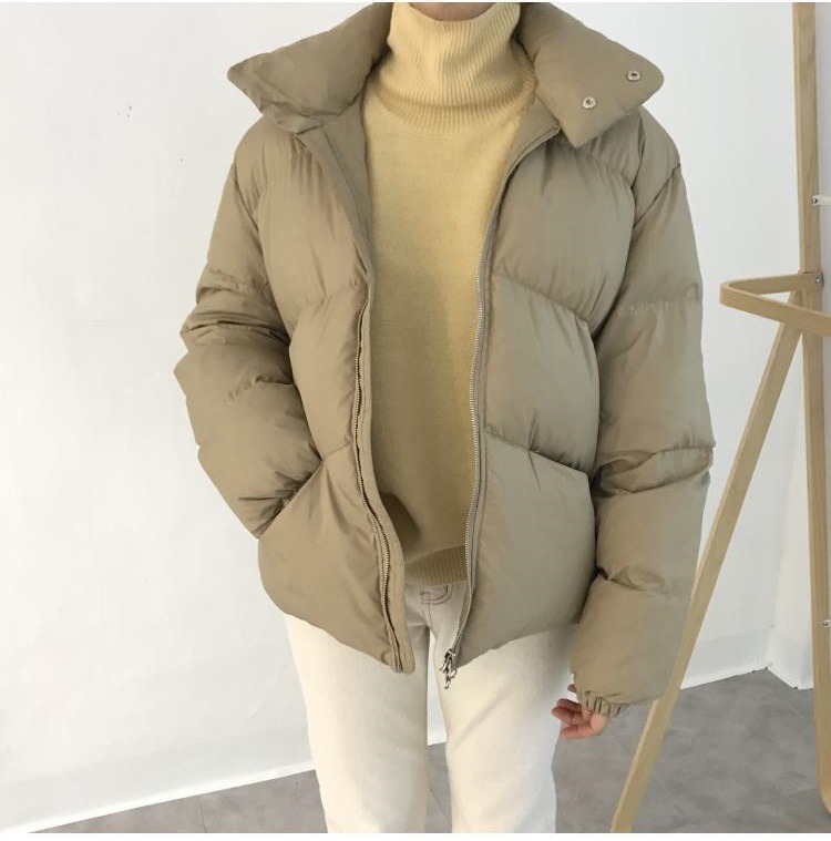 플라이덕 이미지