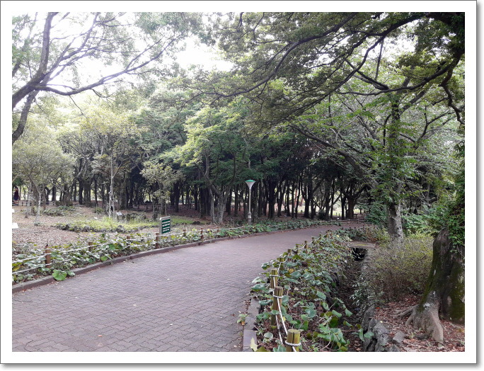 한라수목원 이미지