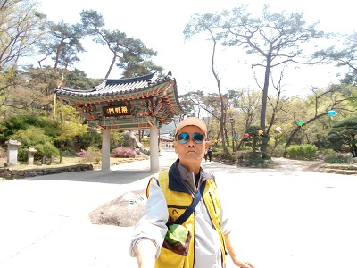 삼식육계 이미지