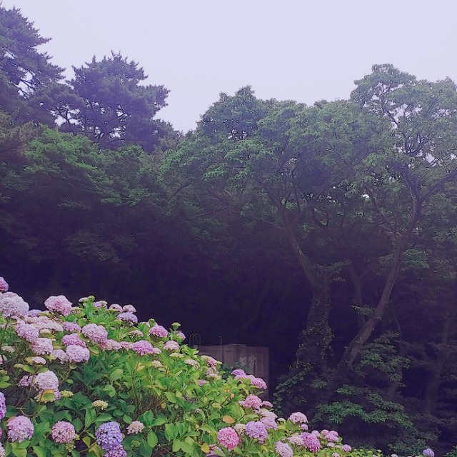 #우리의_여름은 | 인스티즈