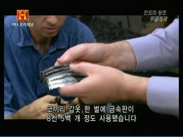 인도의 무굴 제국에서 사용한 전투 코끼리 갑옷 | 인스티즈