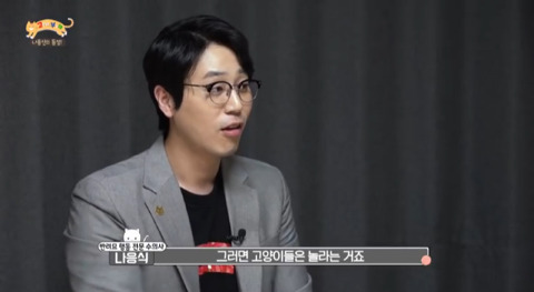 고양이가 아니라 인형을 키우는듯한 집 .jpg | 인스티즈