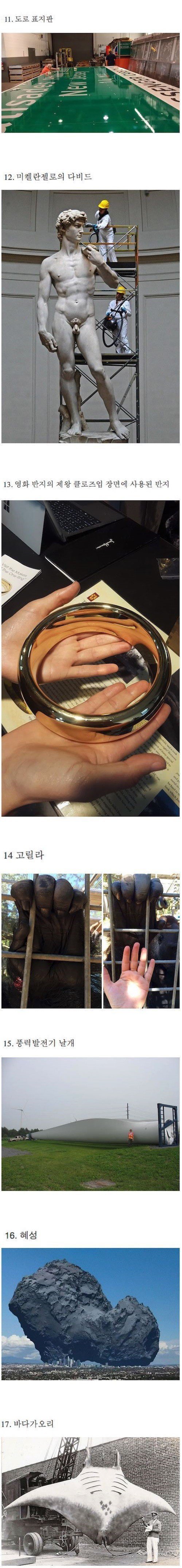 사물들의 실제 크기 | 인스티즈
