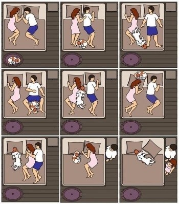 개나 고양이 키우는 집 잠 잘때 유형 | 인스티즈