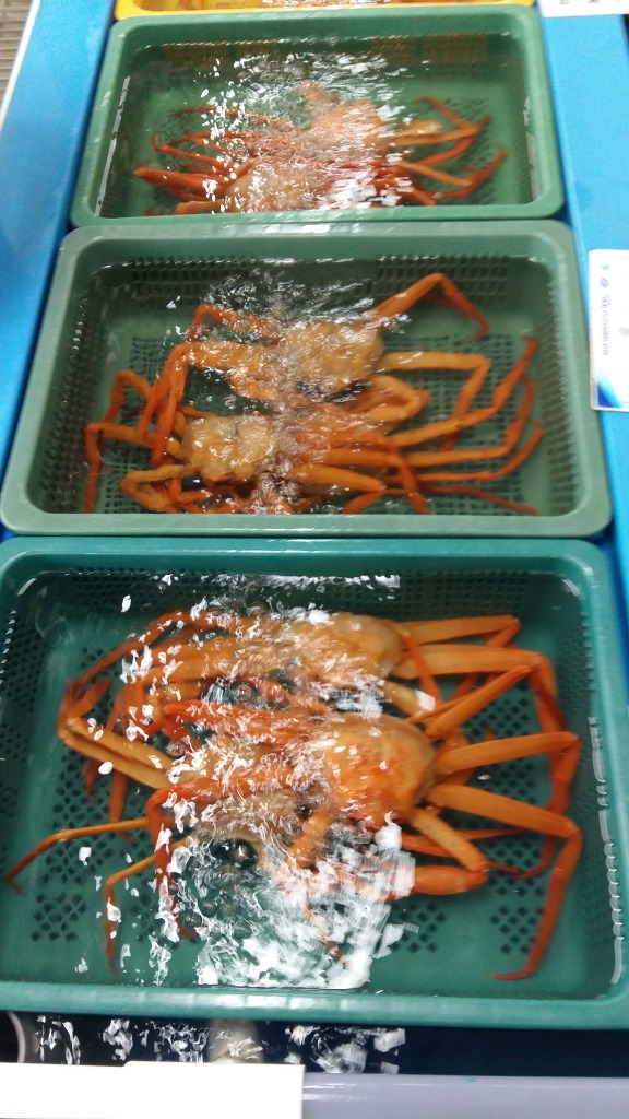 수산물센타 이미지