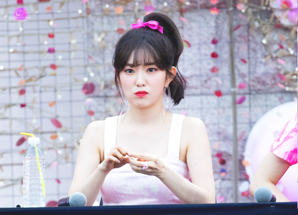 아이린 비쥬얼은 개쩔었던 짐살라빔 활동jpgif (사진多,데이터폭탄주의) | 인스티즈