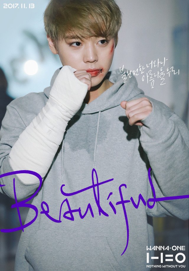 뚱시 이미지