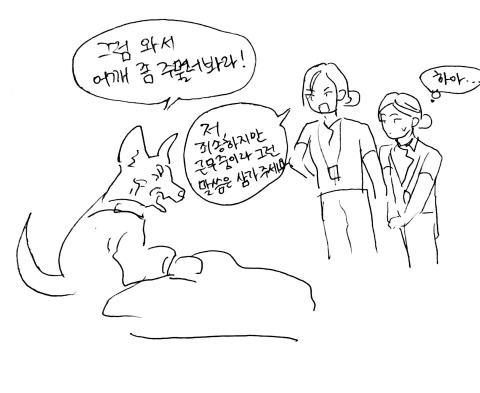나의 아름다운 애완인간2 | 인스티즈