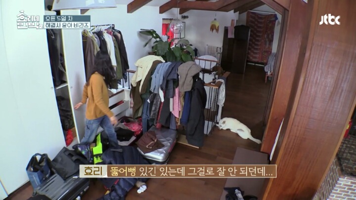 [효리네민박2] 만능일꾼 윤아의 변기 뚫기 .jpg | 인스티즈