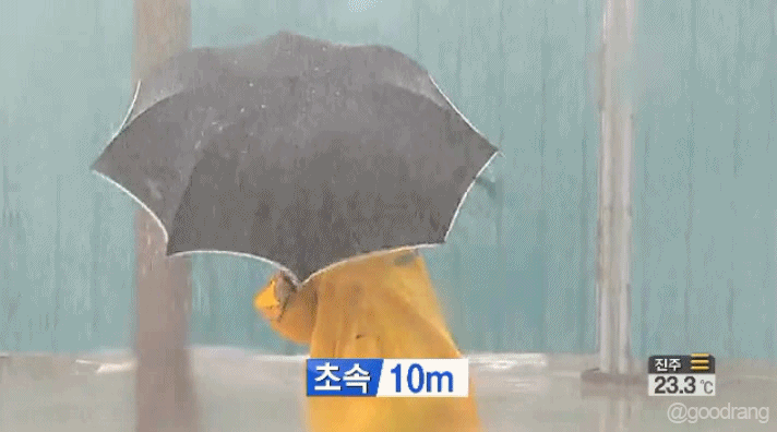 초속 10-30m 실험.gif | 인스티즈