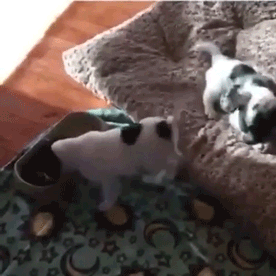 먹는게 제일 좋아.gif | 인스티즈