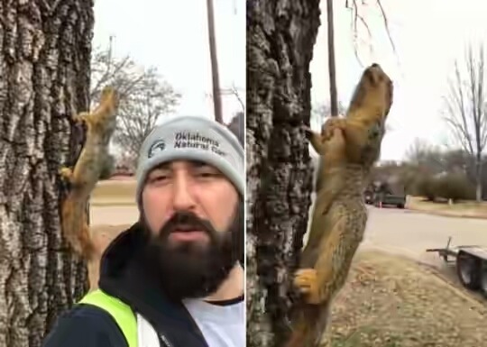 미국 극강 추위에 그대로 얼어죽은 청설모 | 인스티즈