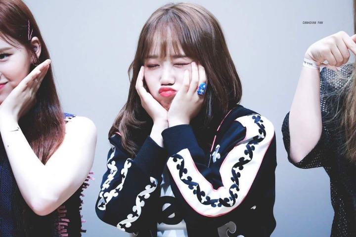 위미 이미지