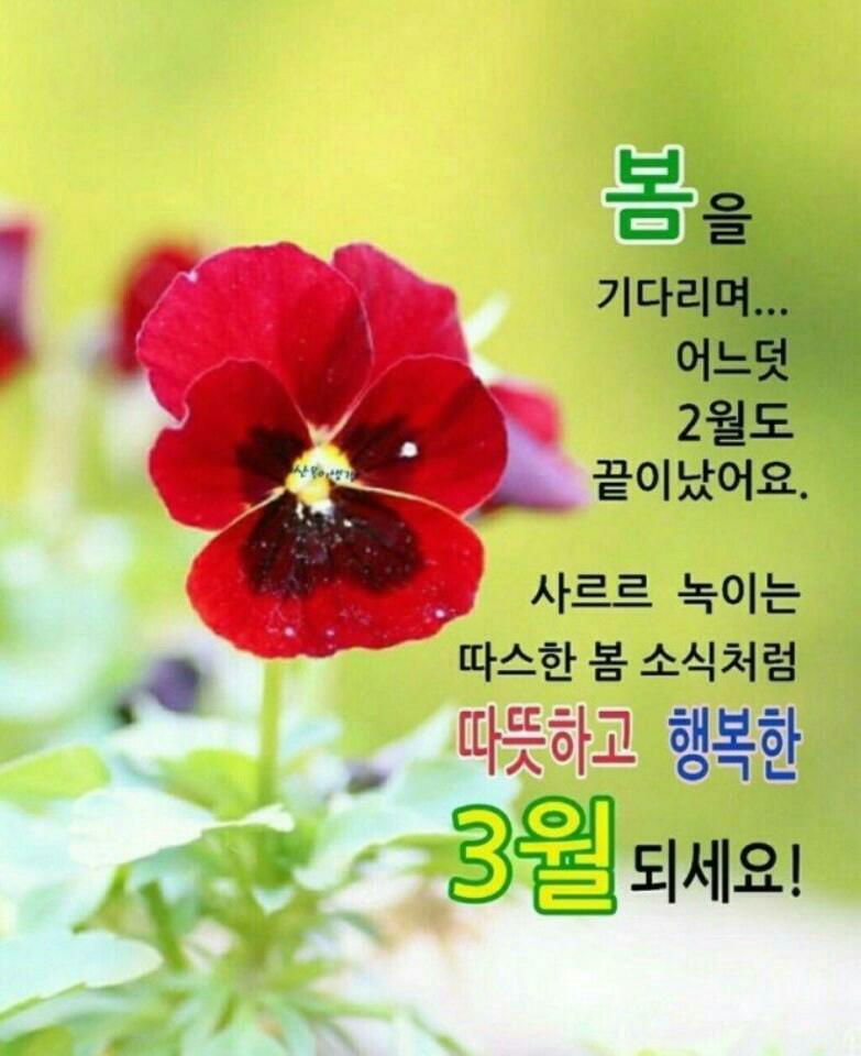 오든 이미지
