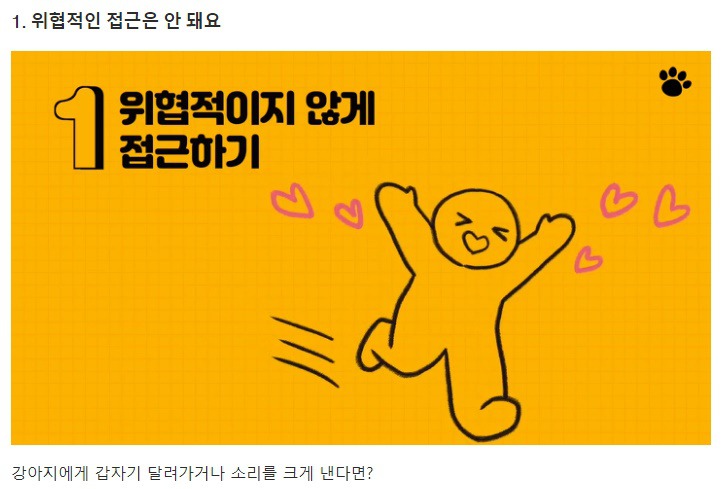 처음 만난 강아지와 인사하는 방법 | 인스티즈