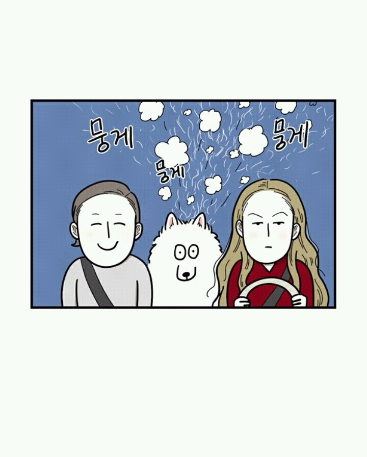 사람들이 극한견주봐도 잘 모르는 사실 | 인스티즈