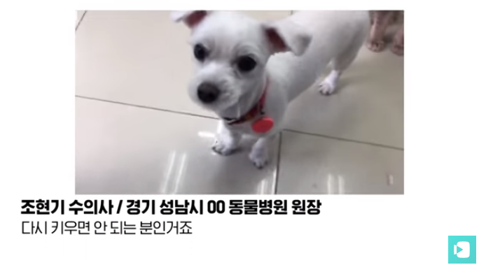 폭염 속 버려진 똘똘이가 모니로 개명한 사연 | 인스티즈