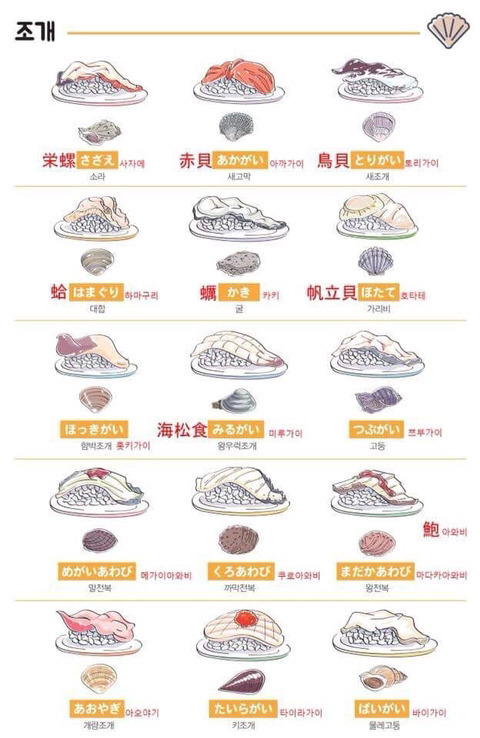 일본어로 스시 주문하기.tip | 인스티즈