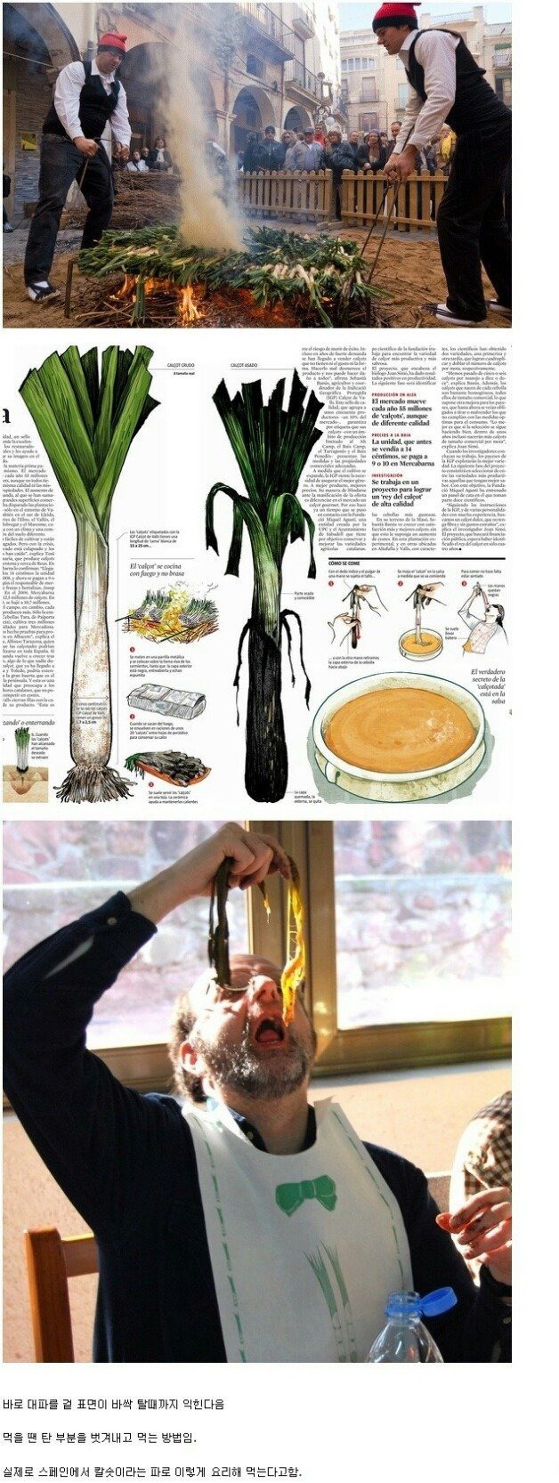 처치곤란한 대파 먹는 법 | 인스티즈