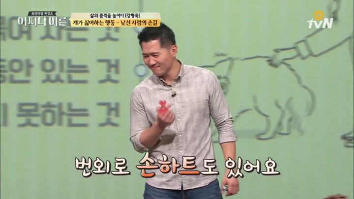 길을 가다 산책하는 댕댕이를 봤을 때 취해야 할 행동 | 인스티즈