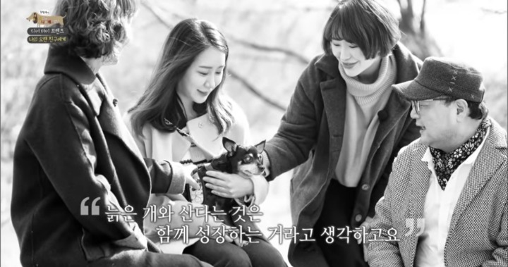 [세나개] 여러분에게 노견은 어떤 의미인가요? | 인스티즈