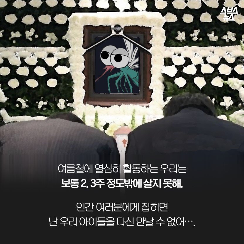 모기 만화.jpg | 인스티즈