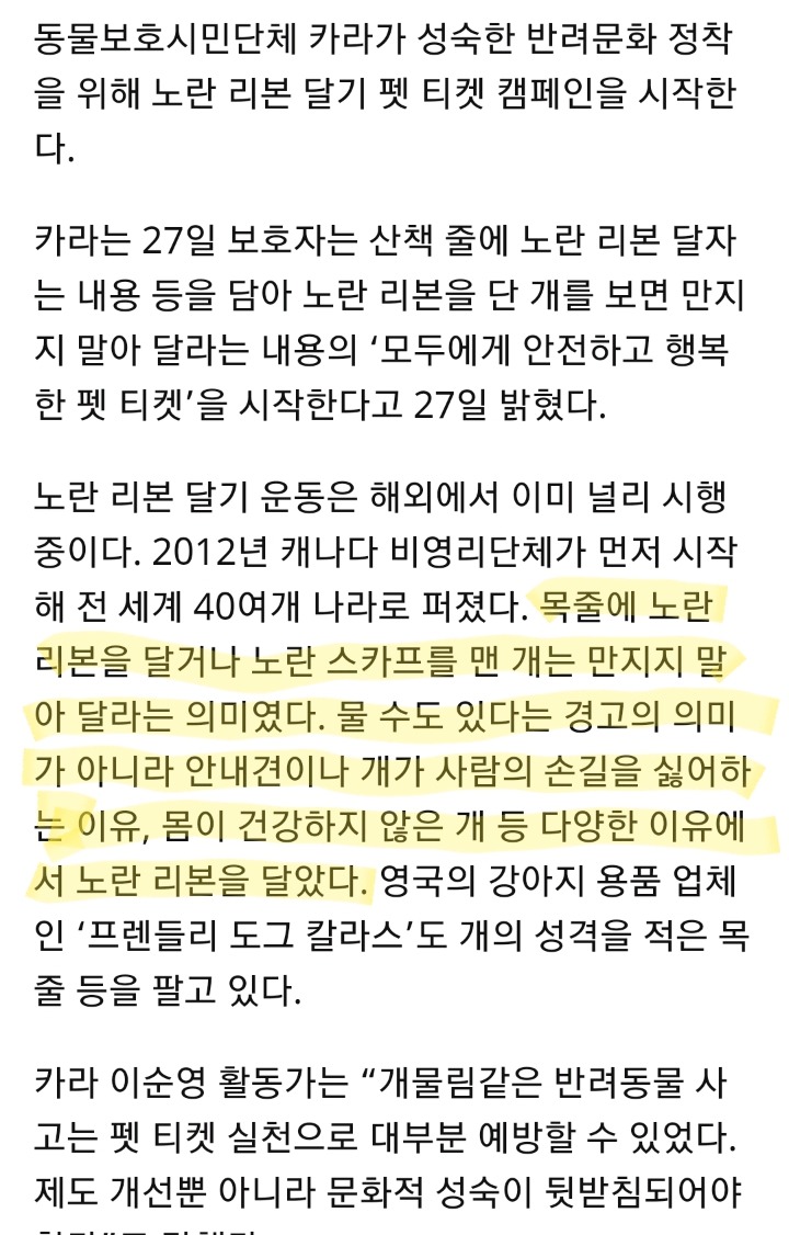 노란 리본을 단 개는 만지지 마세요 | 인스티즈