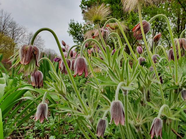 995EBA4C5CBD0CAC0F34F4