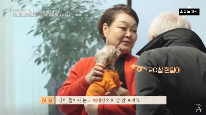  빅마마 이혜정의 스트릿출신 반려견들 (귀여움주의) | 인스티즈