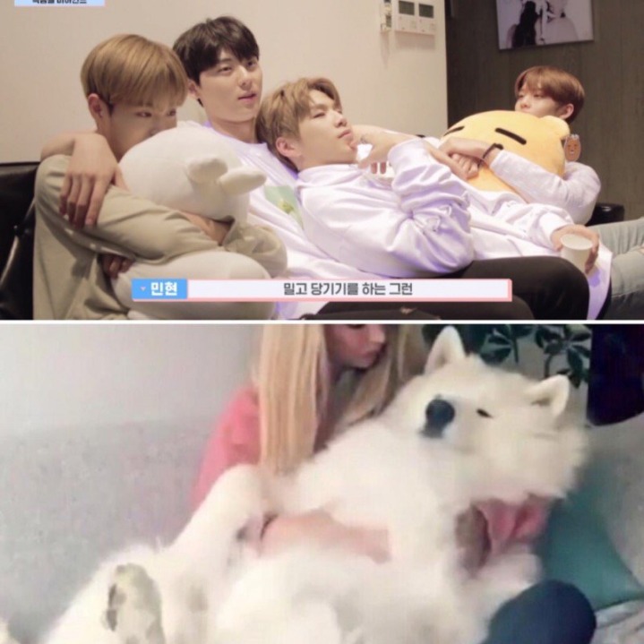 강아지중에 가장 사람닮은듯한 강다니엘 사진모음.jpg | 인스티즈