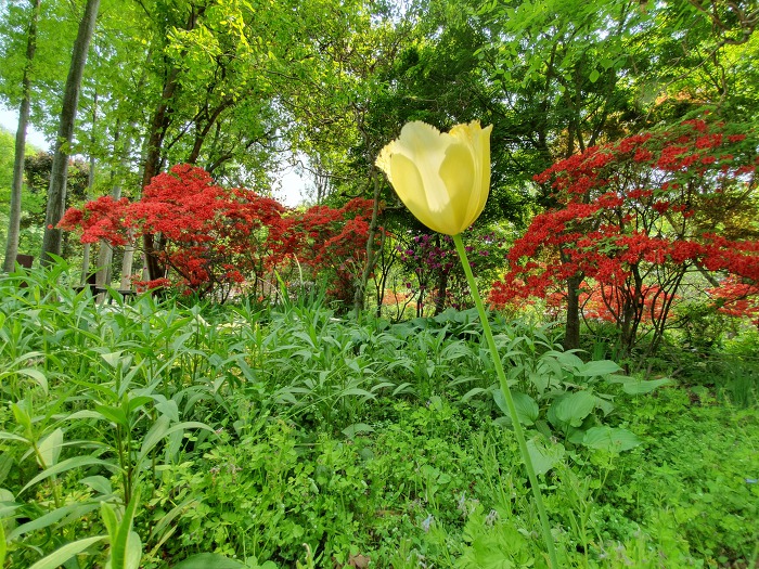 9961FF355CD8BBDF0604DA