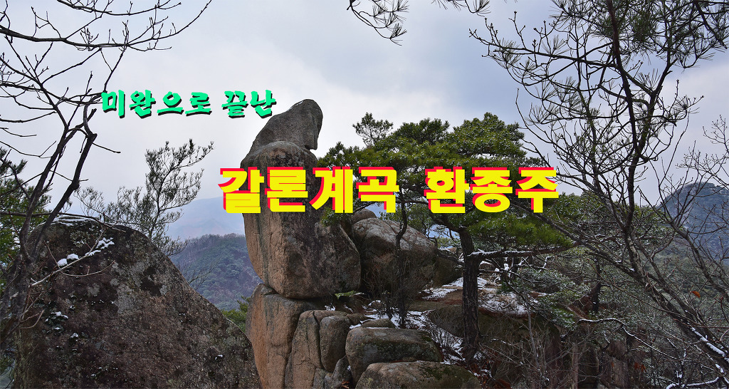 강선대민박 이미지