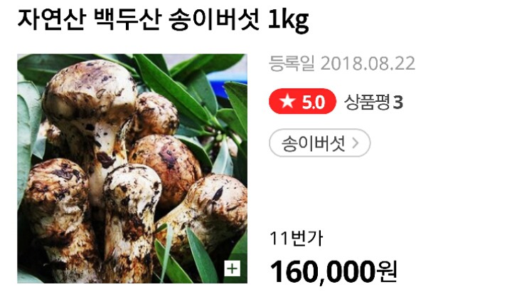 김정은이 선물한 송이버섯 가격 | 인스티즈