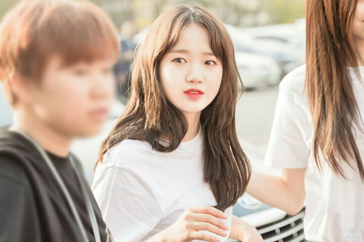 위미 이미지