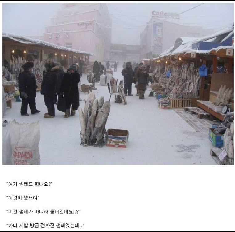 러시아 어시장 | 인스티즈