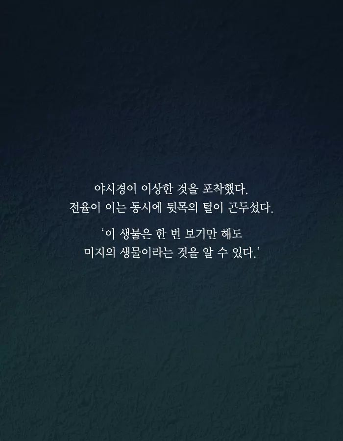 치사율 100퍼센트의 바이러스를 막는 유일한 방법 | 인스티즈