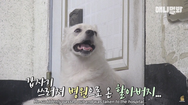 주인님이 열흘 째 문을 열어주지 않아요.. (캡쳐) | 인스티즈