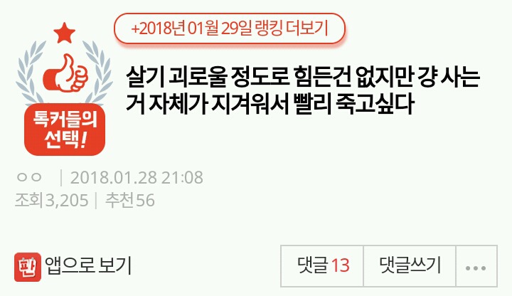살기 괴로울 정도로 힘든건 없지만 걍 사는거 자체가 지겨워서 빨리 죽고싶다 | 인스티즈
