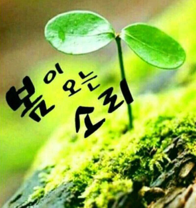인생은생방송 이미지