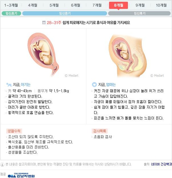 10달동안 무슨 변화가 일어나는걸까?: 임신 알아보기 | 인스티즈