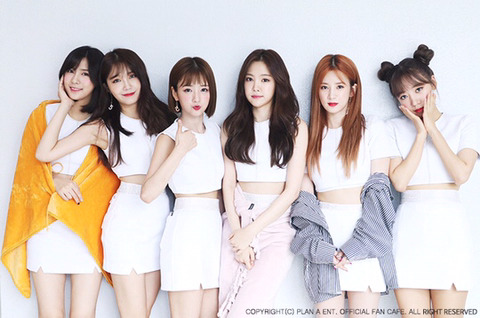 에이핑크 콘서트 소식을 듣고 팬클럽 선예매 인증하고 와서 에이핑크 | 인스티즈